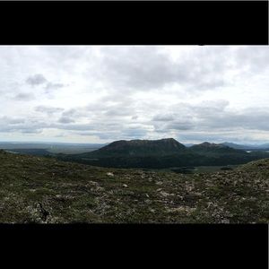 Meet your Posher, Johnnalee